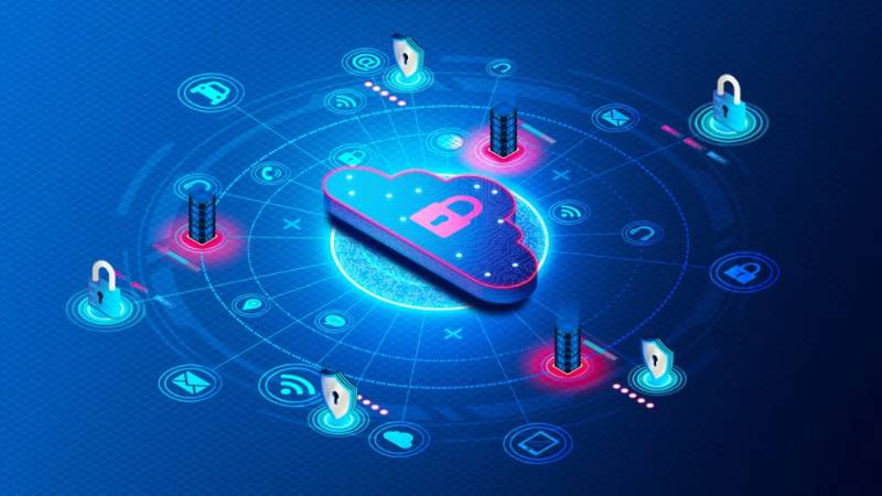 泸西县系统软件开发：Python引领，筑牢企业数字化根基